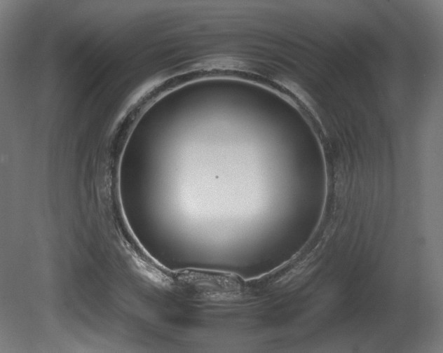 X0000081271115200701111259