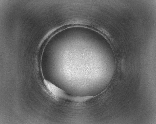 X0000081271120200701111259