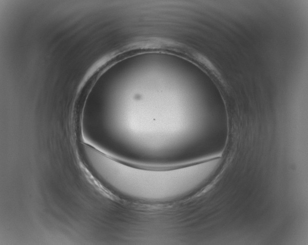 X0000081271122200701111259