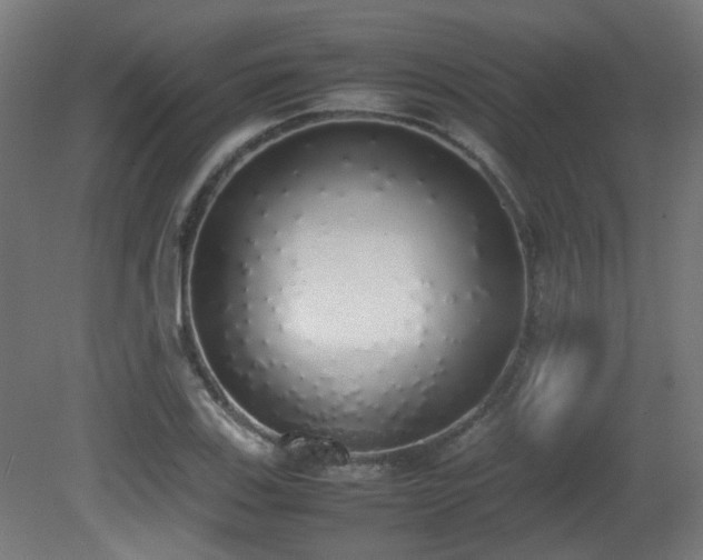 X0000081271123200701111259