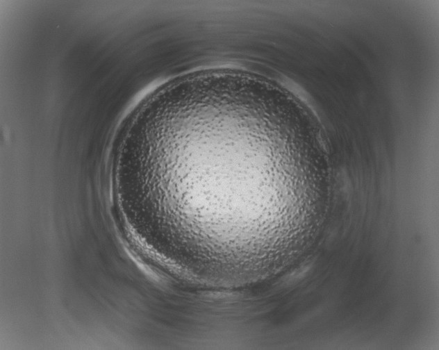 X0000081271127200701111259