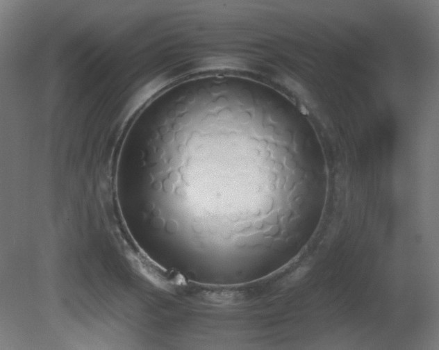 X0000081271129200701111259