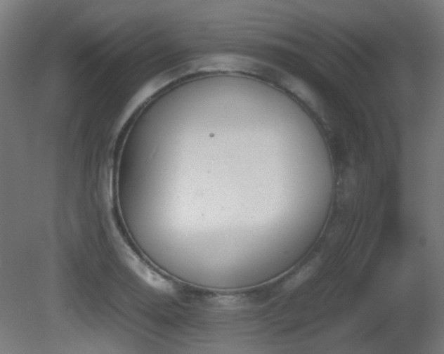 X0000081271130200701111259