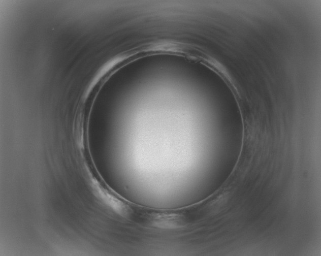 X0000081271131200701111259