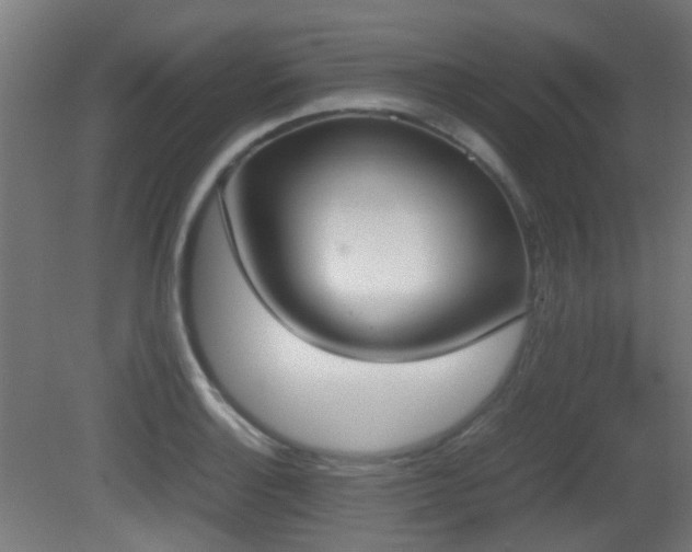 X0000081271132200701111259