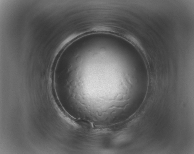 X0000081271133200701111259