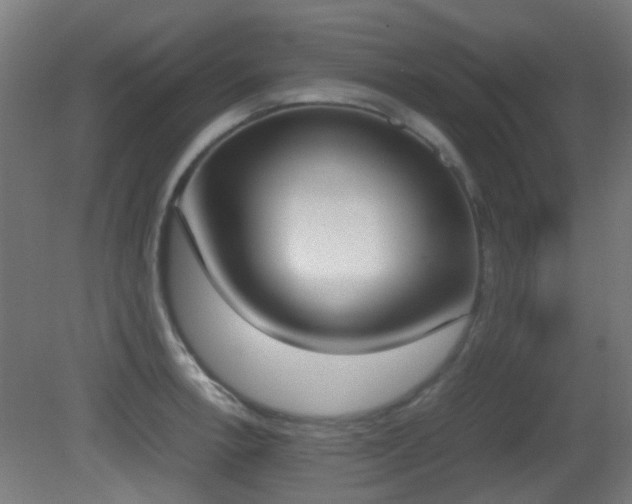 X0000081271138200701111259