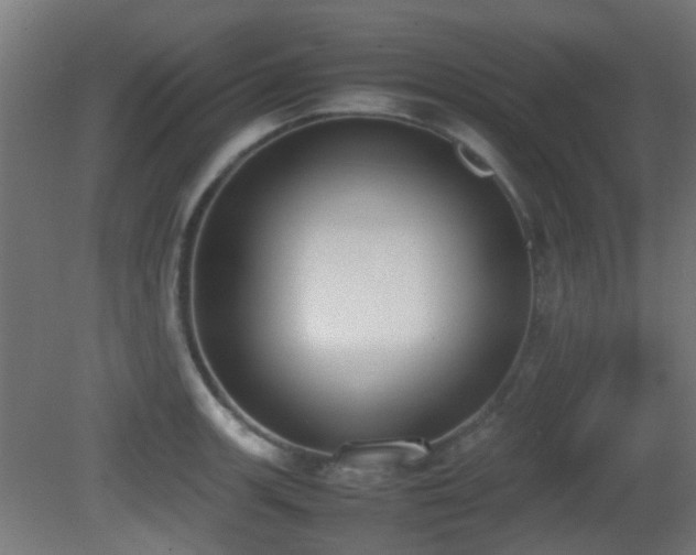 X0000081271139200701111259