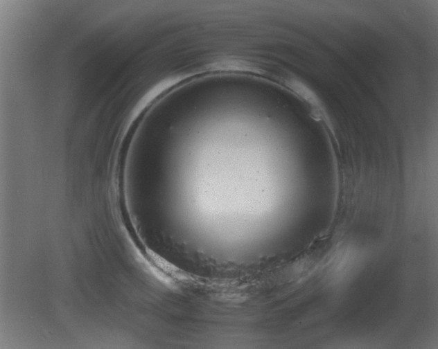 X0000081271141200701111259