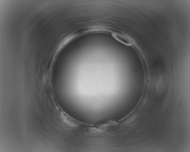 X0000081271145200701111259