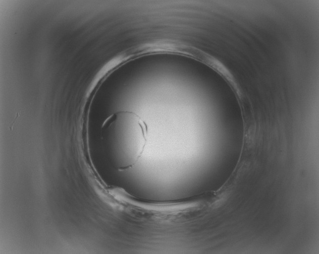 X0000081271146200701111259