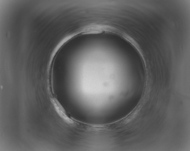 X0000081271152200701111259