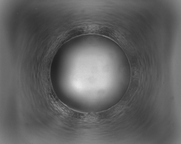X0000081271153200701111259