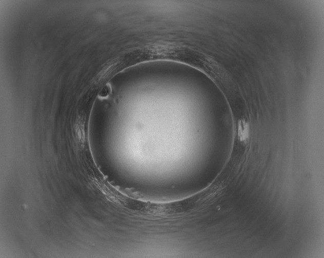 X0000081271155200701111259