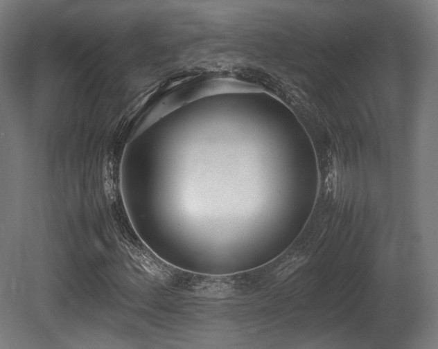 X0000081271156200701111259