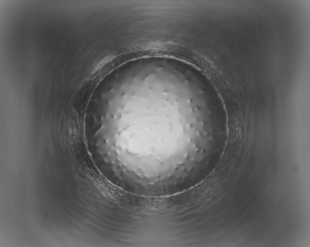 X0000081271158200701111258