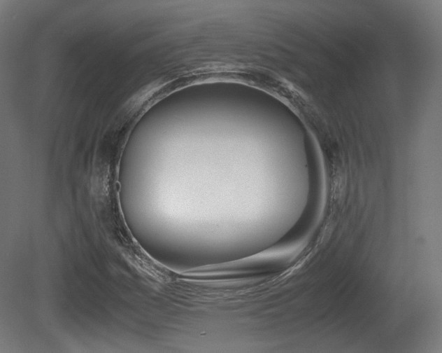 X0000081271161200701111258
