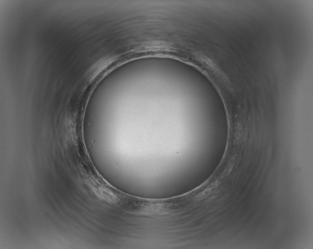 X0000081271162200701111258
