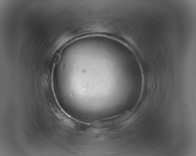 X0000081271163200701111258