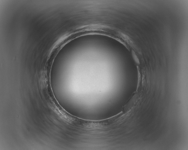 X0000081271164200701111258