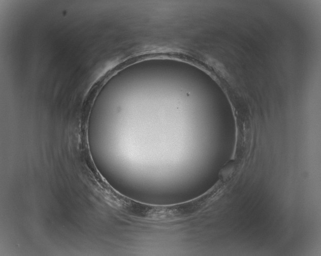 X0000081271165200701111258