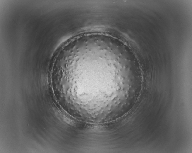 X0000081271166200701111258