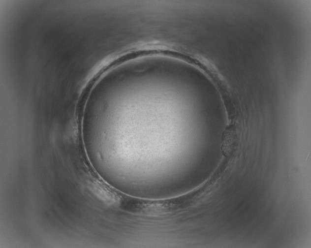 X0000081271167200701111258