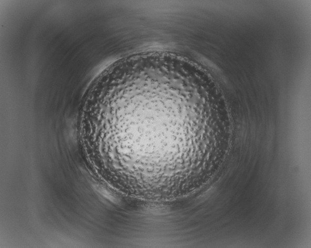 X0000081271170200701111258