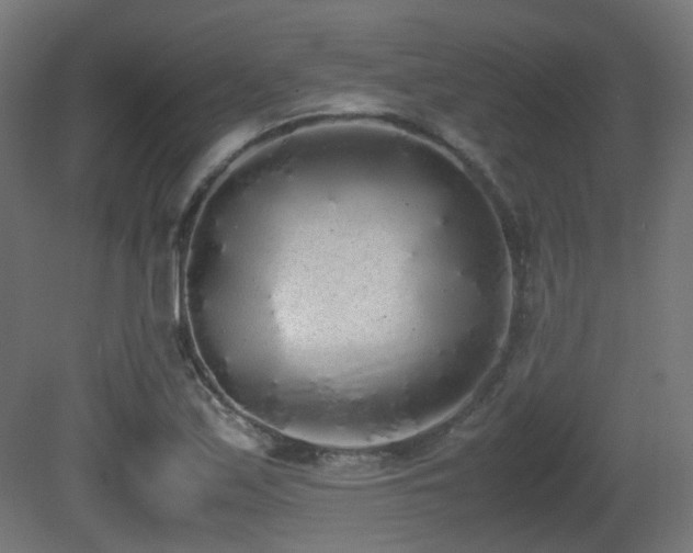 X0000081271171200701111258