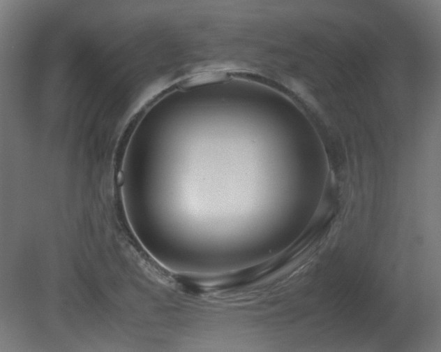 X0000081271173200701111258