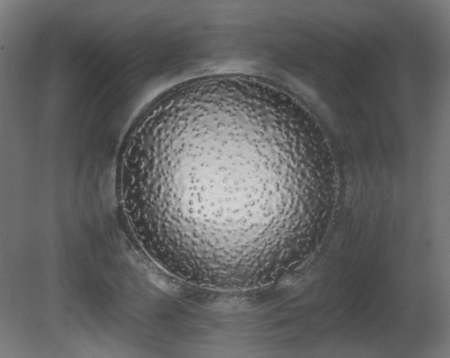 X0000081271174200701111258
