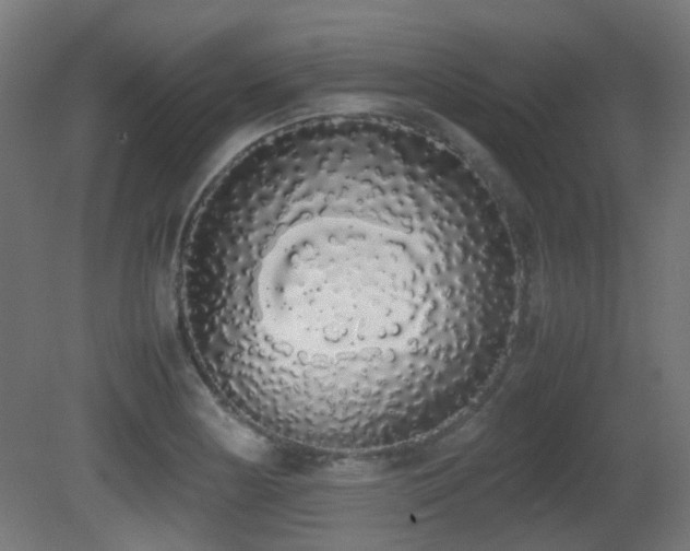 X0000081271178200701111258