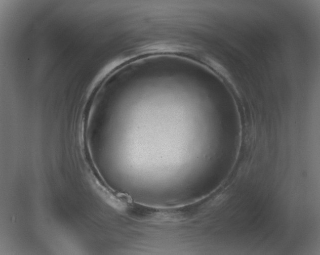 X0000081271179200701111258