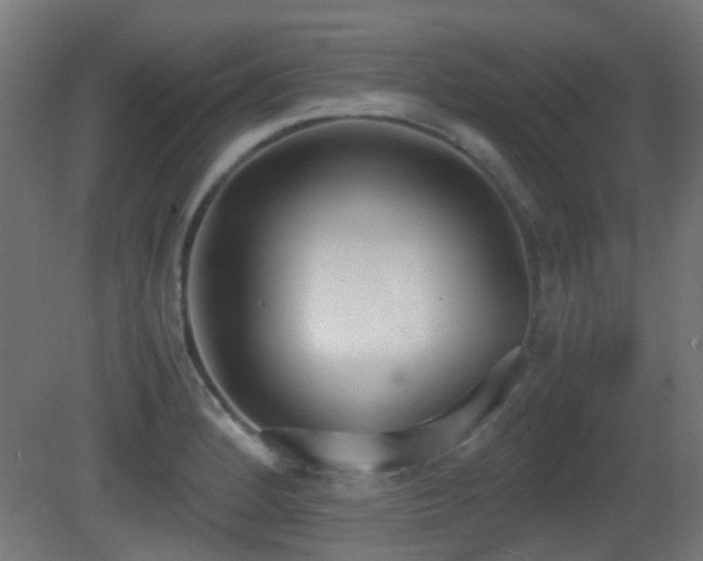 X0000081271184200701111258