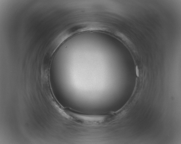 X0000081271185200701111258