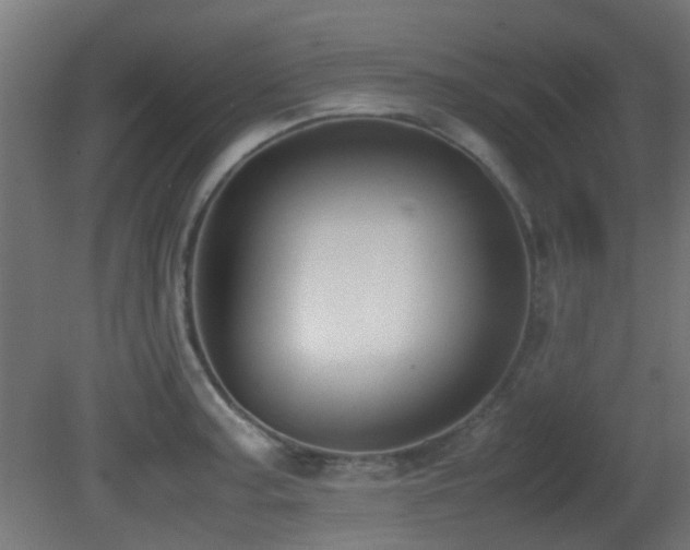 X0000081271187200701111258
