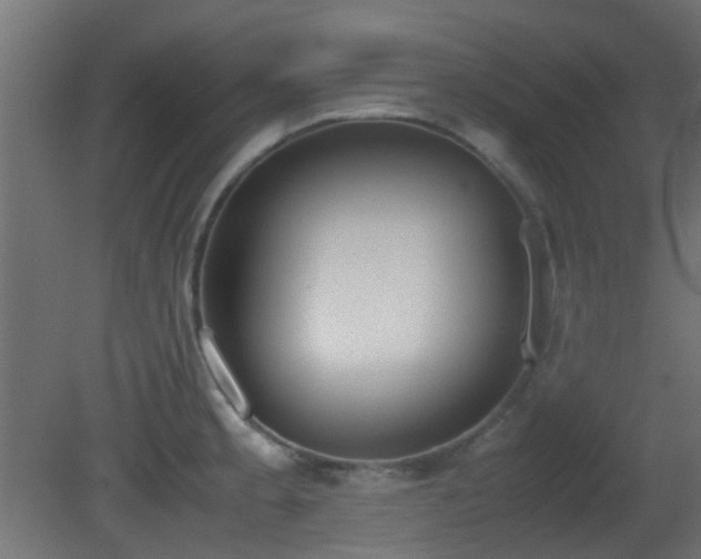 X0000081271189200701111258