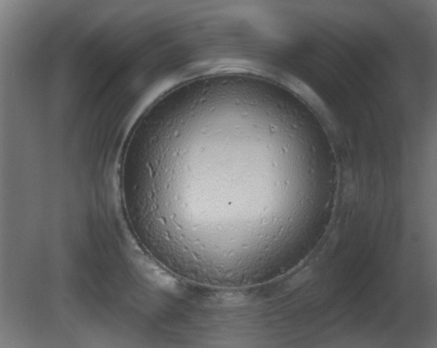 X0000081271190200701111258