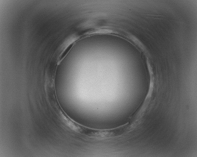 X0000081271193200701111258
