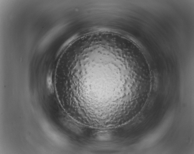 X0000081271198200701111258