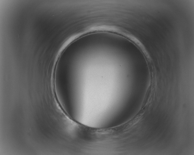 X0000081271199200701111258
