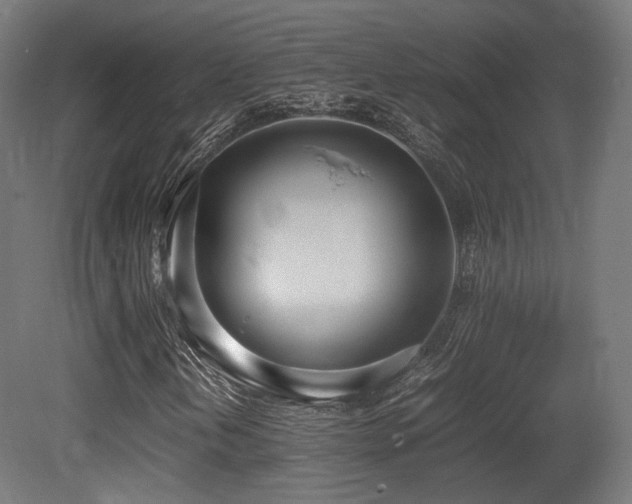 X0000081271202200701111257