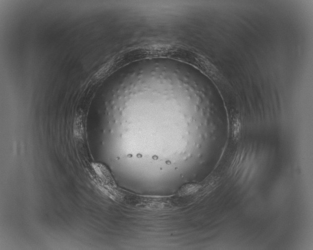 X0000081271204200701111257