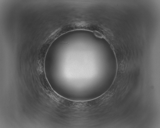 X0000081271205200701111257