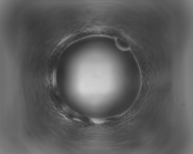 X0000081271206200701111257