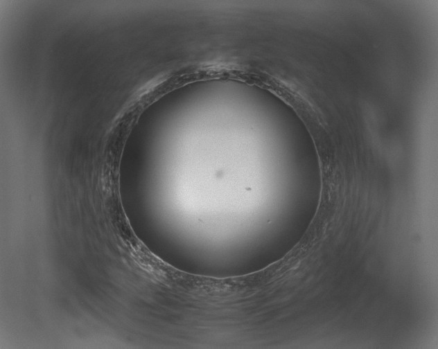 X0000081271207200701111257