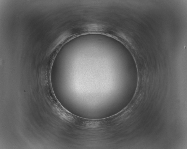 X0000081271211200701111257