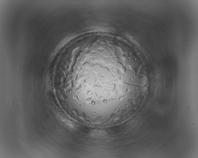 X0000081271215200701111257