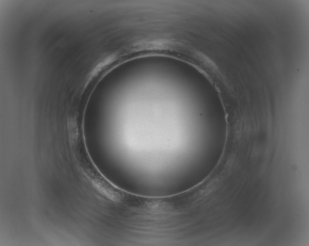 X0000081271218200701111257