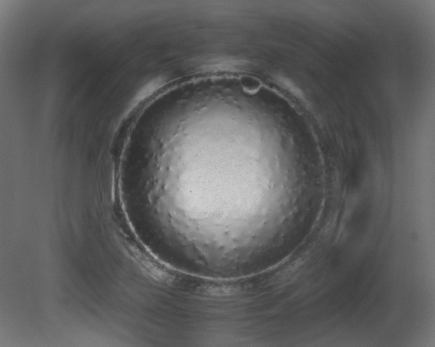 X0000081271219200701111257